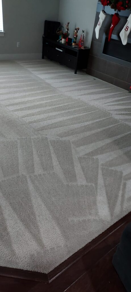 Best Carpet Cleaning in Renton Wa