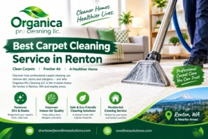 Best Carpet Cleaning Service in Renton: How to Choose the Right One
