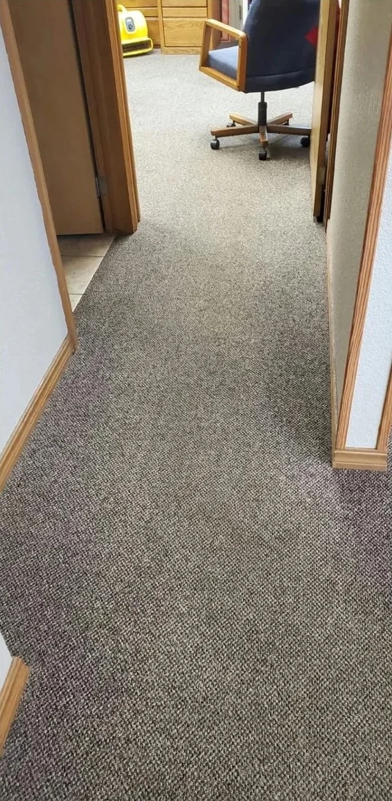 Carpet after truck-mounted cleaning in Renton, WA