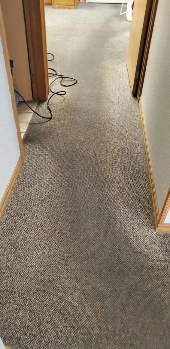 Carpet before truck-mounted cleaning in Renton, WA