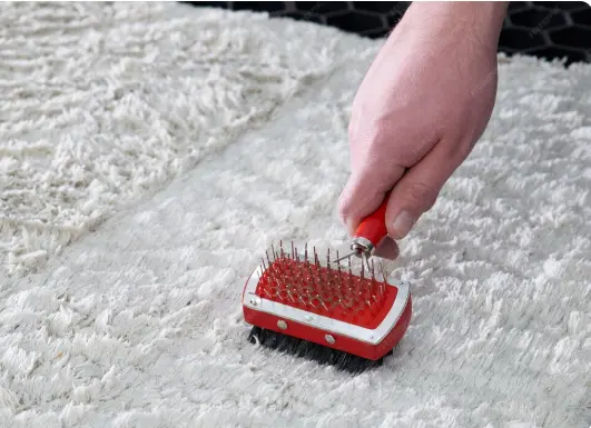 Carpet Cleaning Service 